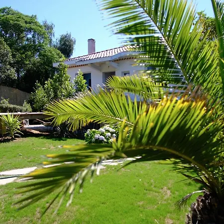 Hah Lay Surf House *